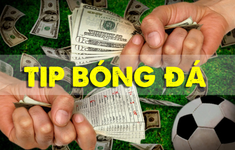 Vậy câu hỏi đặt ra Tips bóng đá có những loại nào?